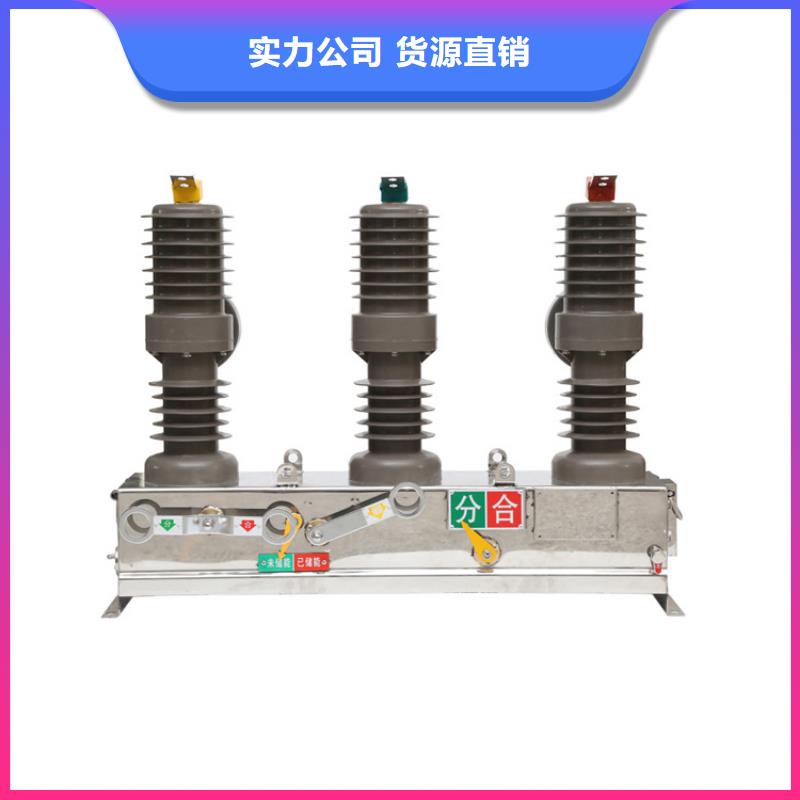 真空斷路器-絕緣子用的放心