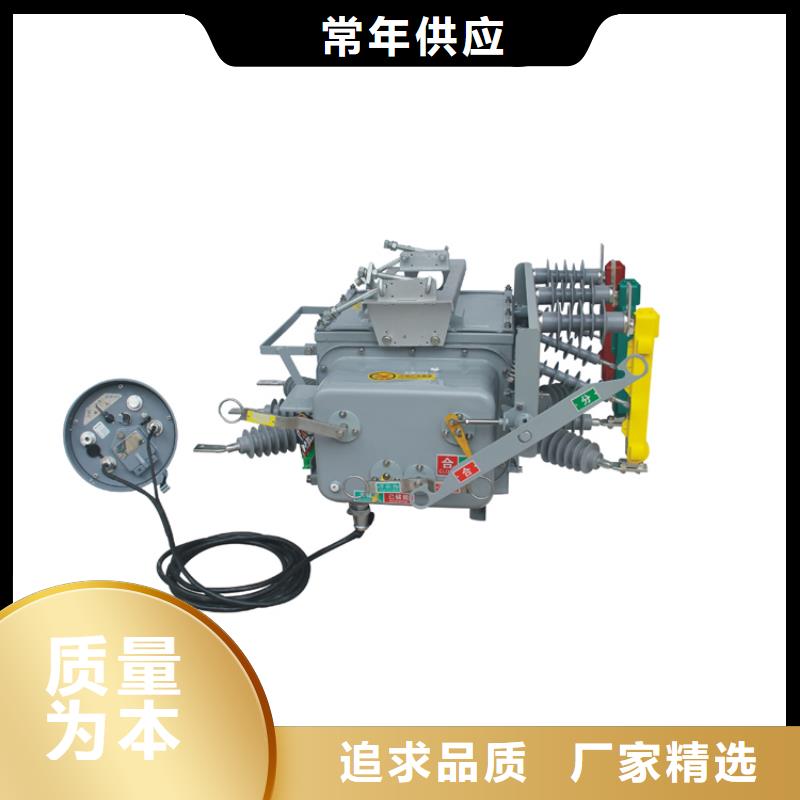 VS1-12/1250-20戶內真空斷路器固定式