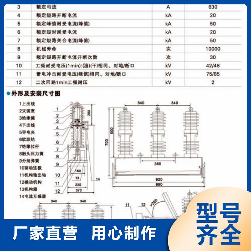 LW38-72.5/3150-40高壓斷路器樊高