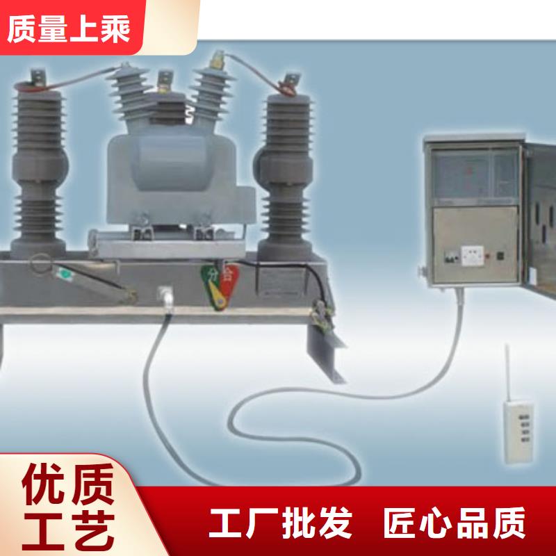 ZW43-12G/630-12.5戶外高壓真空斷路器