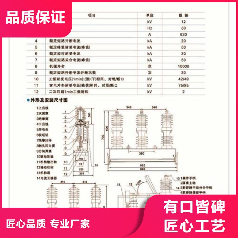 ZW37-40.5/630戶外柱上斷路器