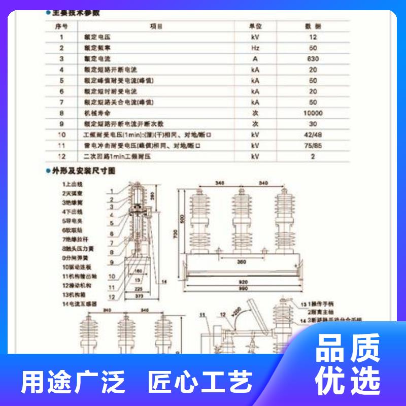 DW8-35/1250-20高壓斷路器樊高