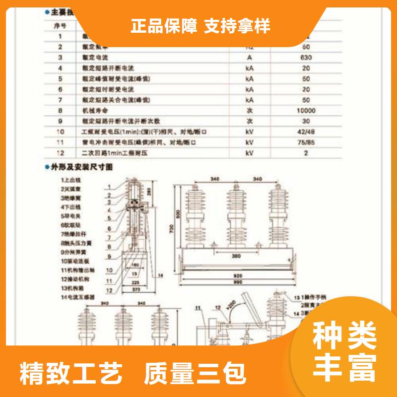 LW8-40.5/1250-25不銹鋼常規斷路器樊高