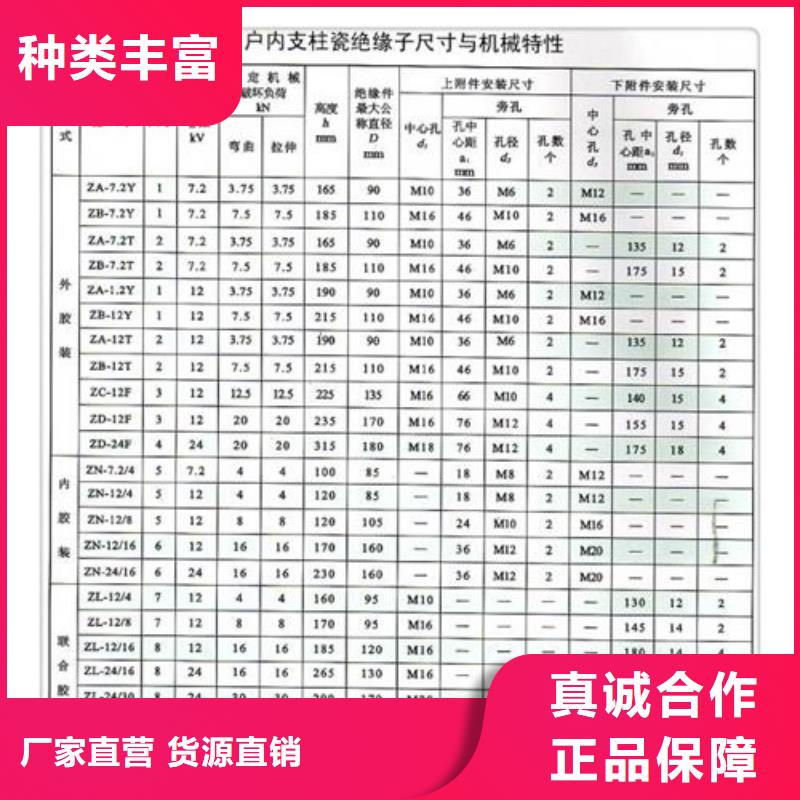 FXBW3-110/100高壓復合棒型絕緣子