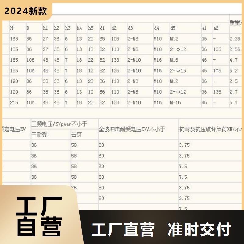 ZSW-24/8高壓絕緣子