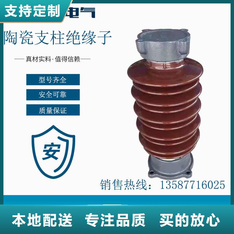 FZSW4-110/10高壓復(fù)合絕緣子