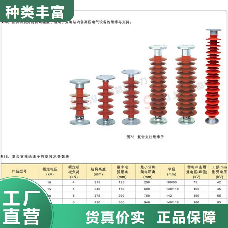 FZSW4-110/10复合绝缘子
