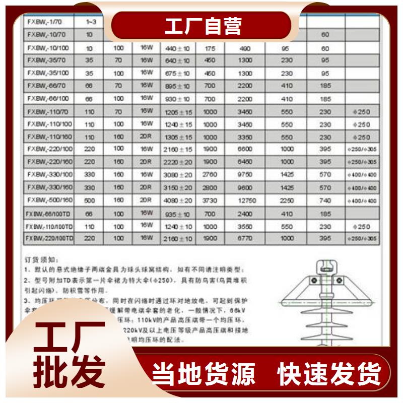 ZN-35KV/130*320高壓絕緣子