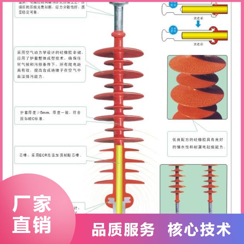 三沙市FZSW4-126/16硅胶绝缘子樊高