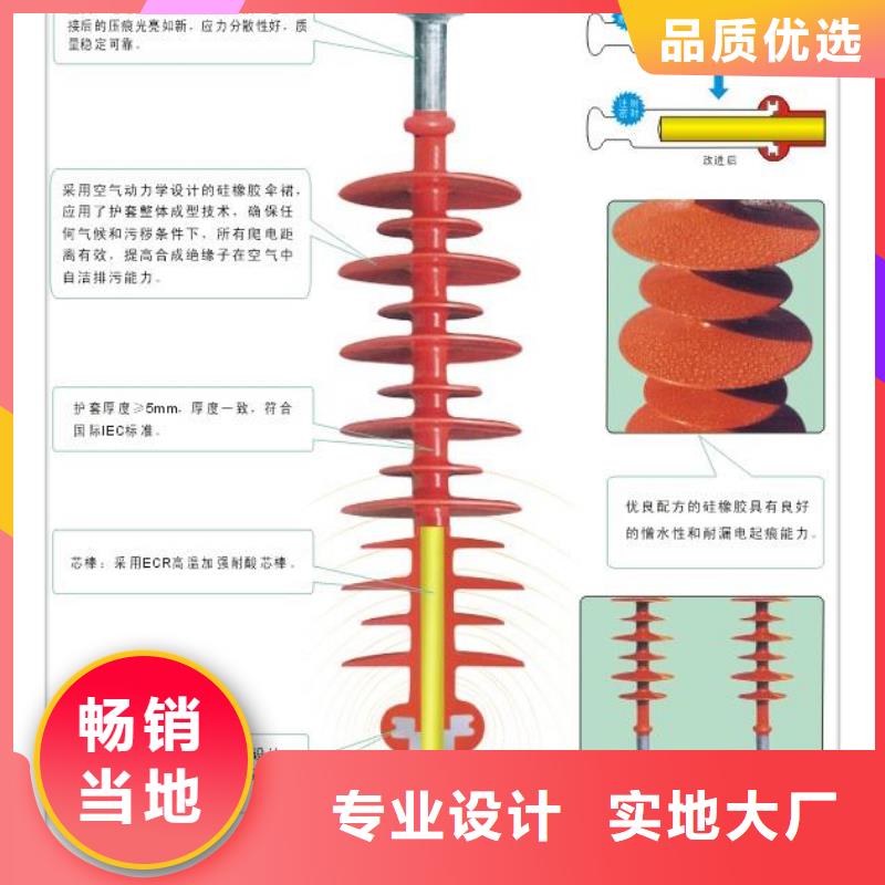 FXBW3-66/100復合絕緣子