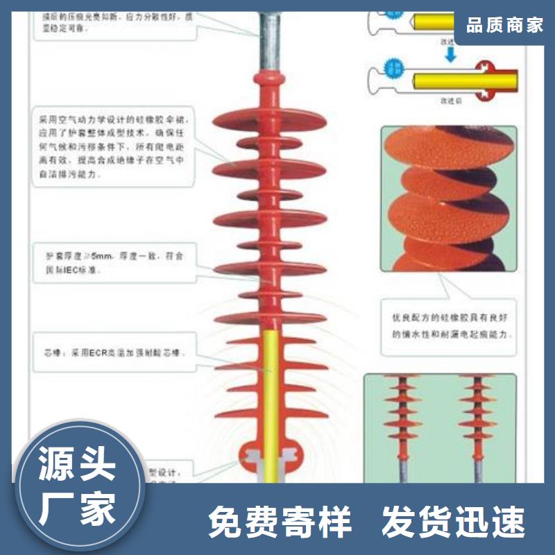 ZSW-63/400戶外支柱絕緣子