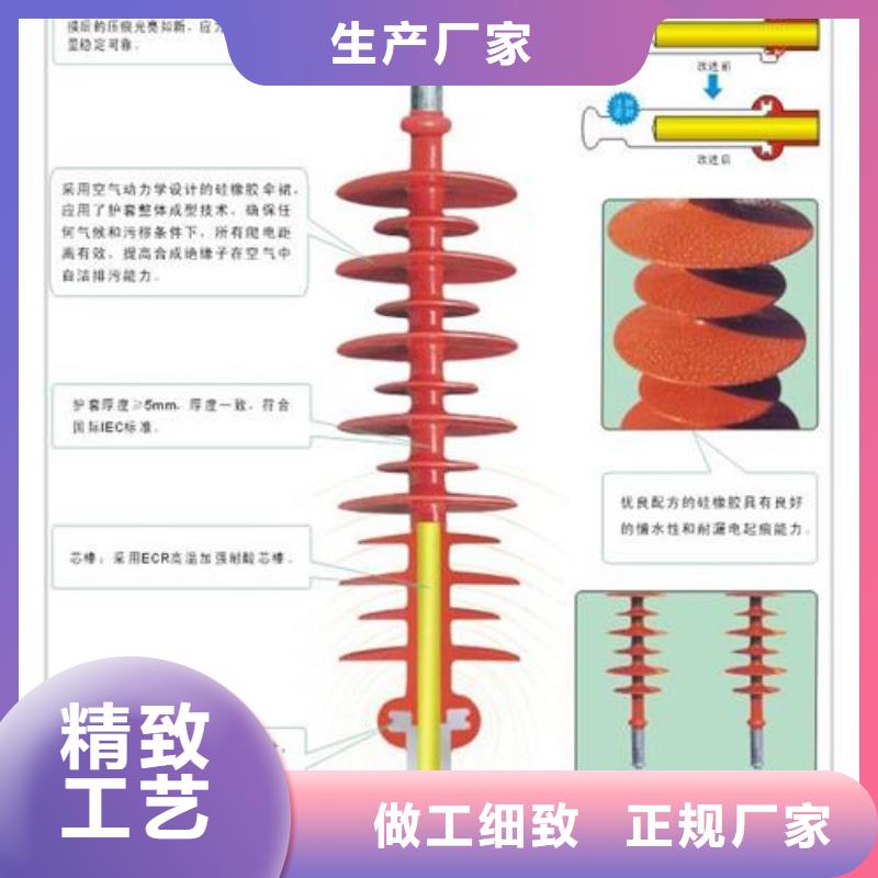 FZSW-110/16絕緣子樊高