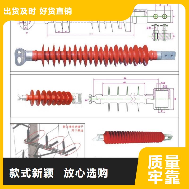 ZSW2-35/4-4高壓絕緣子樊高電氣