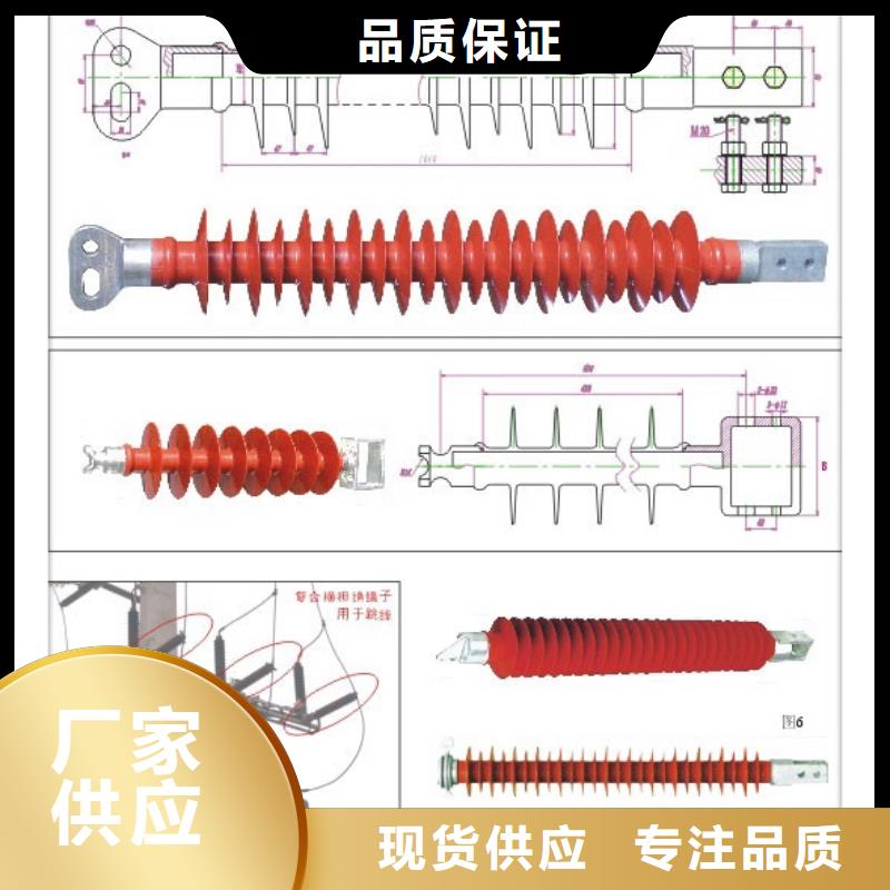 【絕緣子_固定金具種類豐富】