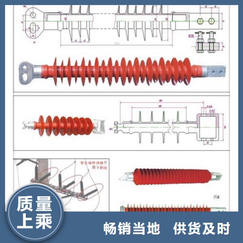 ZL-12/16陶瓷絕緣子樊高電氣