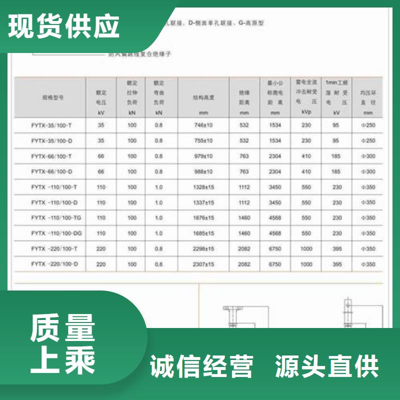 ZSW-63/400戶外支柱絕緣子