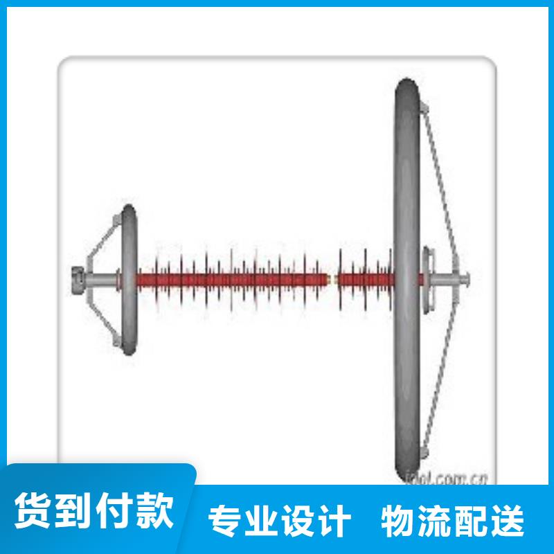 ZJ3-10Q/100*140高壓絕緣子