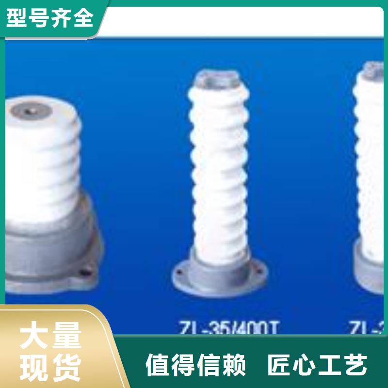 ZN-20/30陶瓷絕緣子樊高電氣