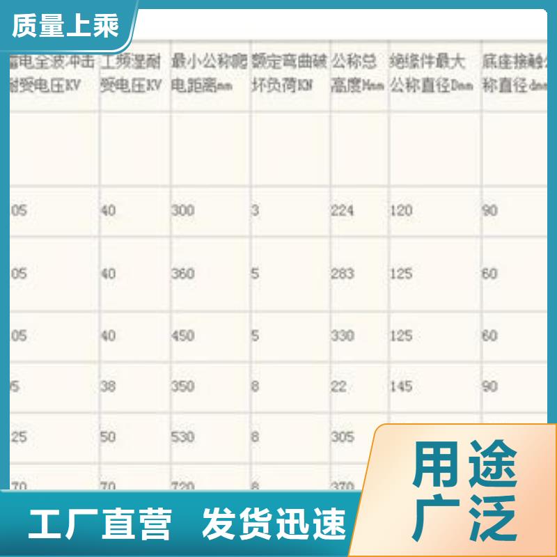 FXBW3-110/100硅膠棒型絕緣子