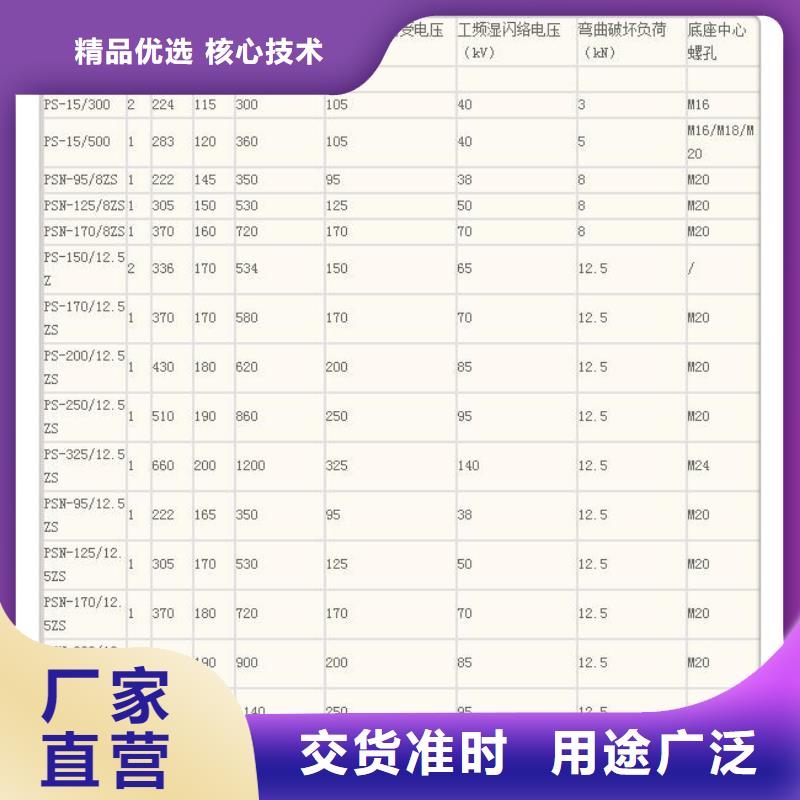 ZS-126/4陶瓷支柱絕緣子