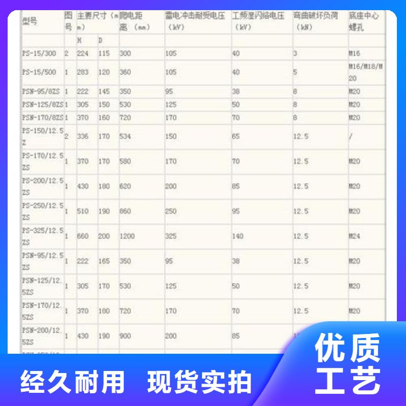 XWP-100陶瓷絕緣子