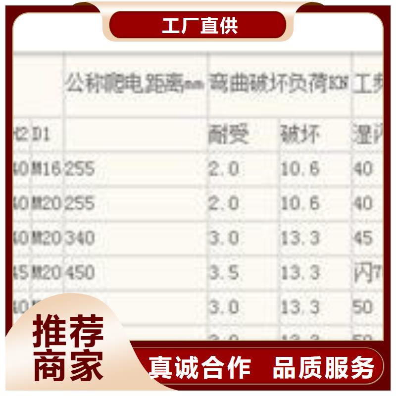 ZSW-20/16絕緣子樊高電氣