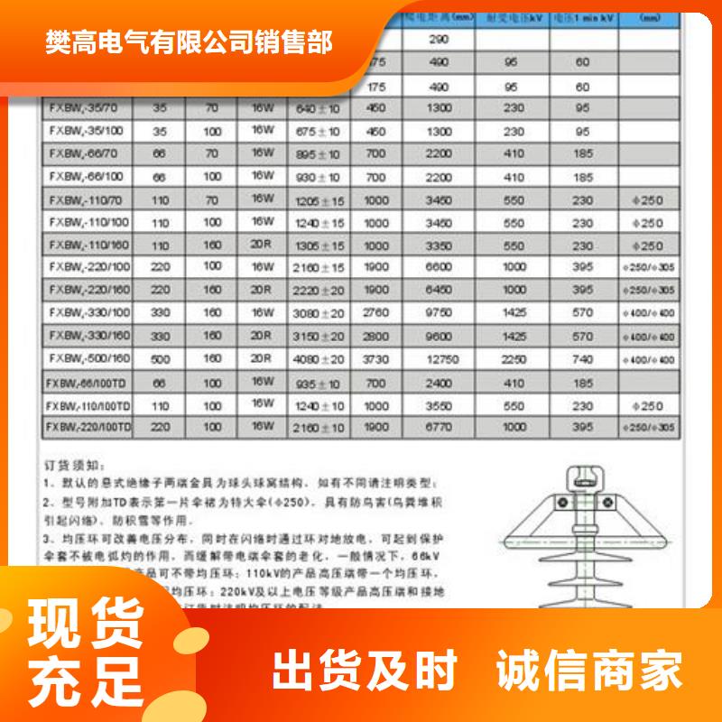 ZJ-10Q/85*145環氧樹脂絕緣子