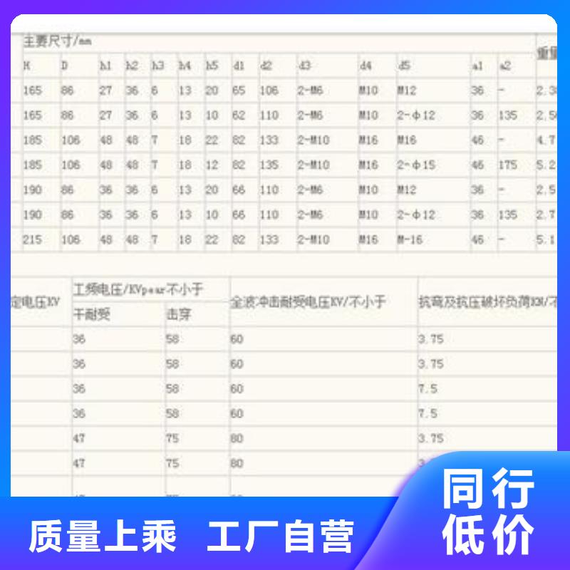 ZB-7.2Y高壓支柱絕緣子