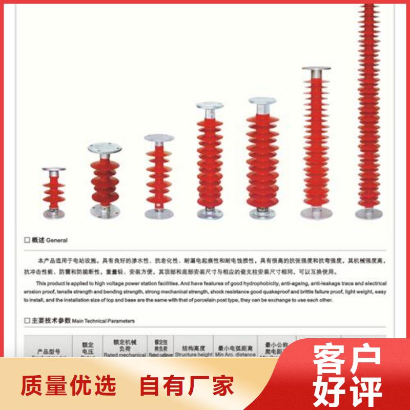 FXBW2-110/100絕緣子樊高