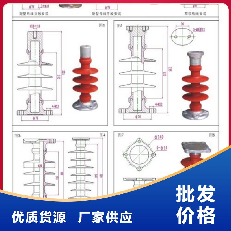 FZSW4-110/8硅膠絕緣子樊高