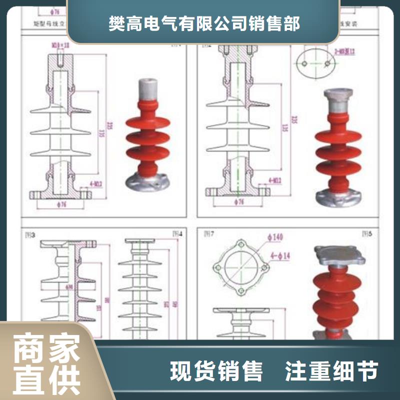 ZJ-10KV/100*140環氧樹脂絕緣子