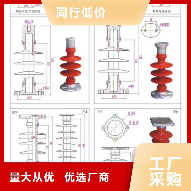 FZSW4-40.5/10高壓復合絕緣子