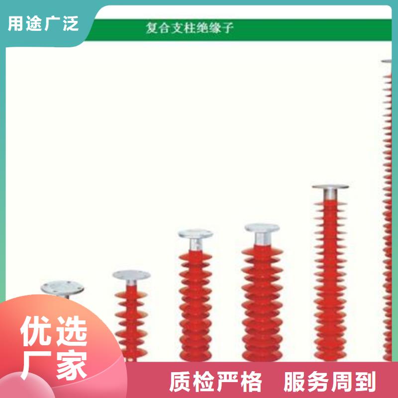 ZS2-10/1000戶外支柱絕緣子