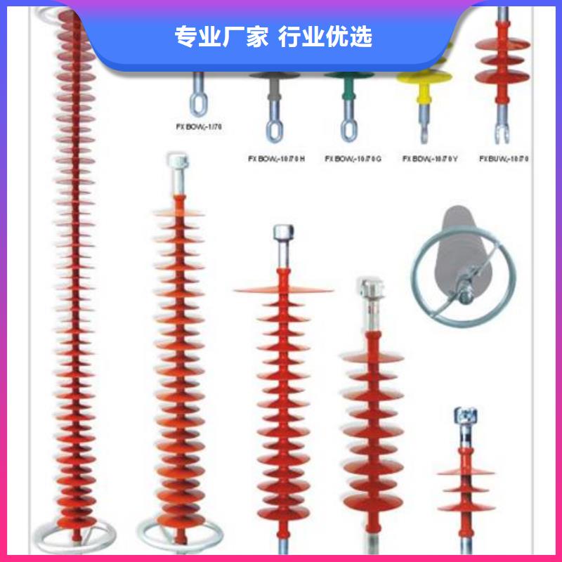 ZSW2-10/4陶瓷絕緣子