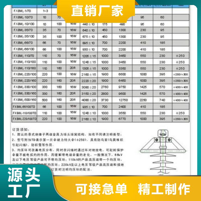 ZJ-10Q/100*140環氧樹脂絕緣子