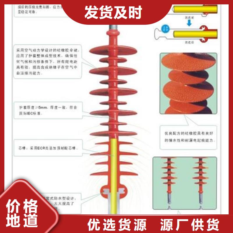 ZN-10/8高壓絕緣子樊高電氣