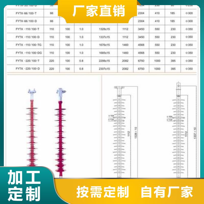 ZJ-10Q/85*145環氧樹脂絕緣子