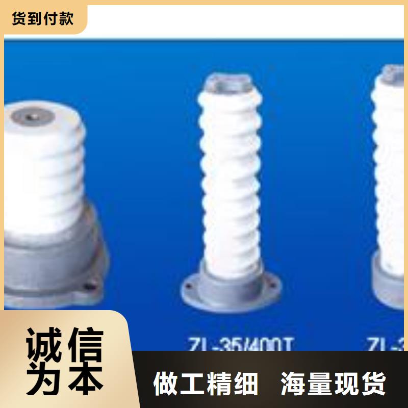 FZSW4-110/8硅膠絕緣子樊高