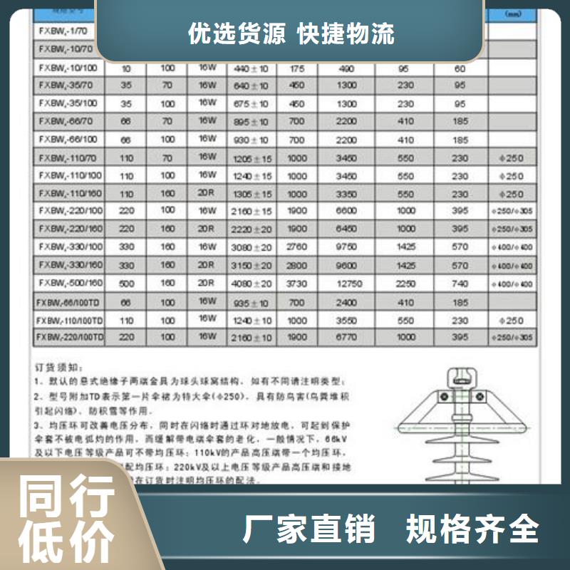 ZS-63/4绝缘子