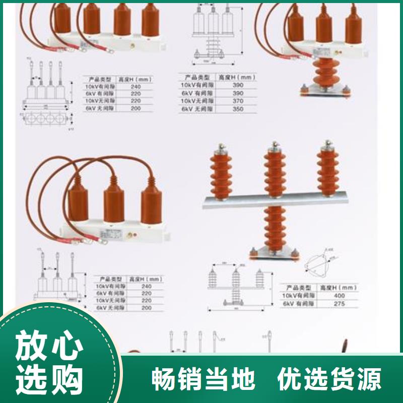 TBP-C-42F/200串聯(lián)間隙過電壓保護(hù)器