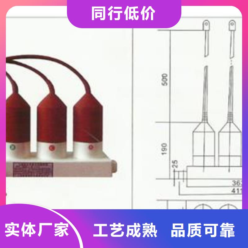 BSTG-A-7.6組合式避雷器樊高電氣