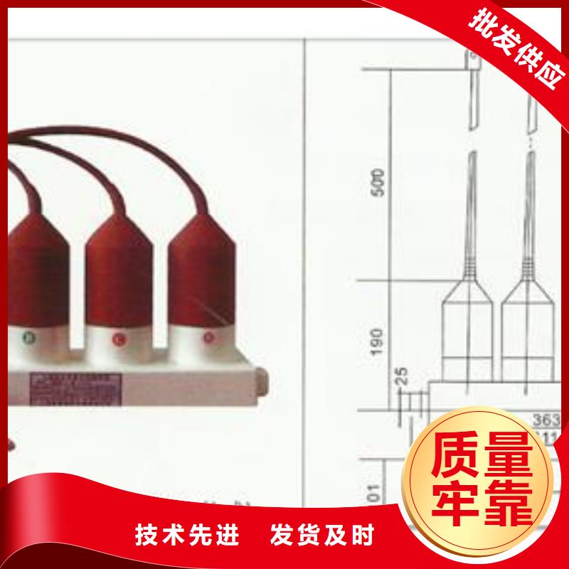 TBP-C-7.6/131F組合式保護器