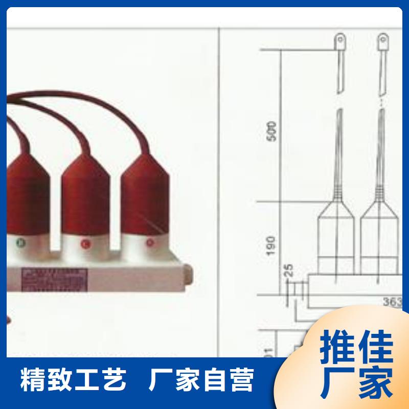 BSTG-C-7.6/131三相組合式過(guò)電壓保護(hù)器樊高電氣