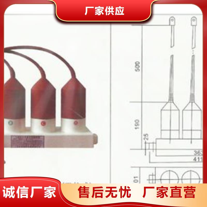 TBP-B-7.6F/85-J三相組合式過電壓保護(hù)器樊高電氣