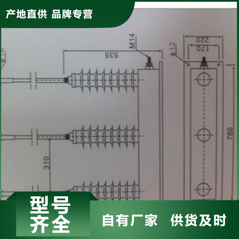 TBP-B-35/310三相組合式過電壓保護器樊高電氣