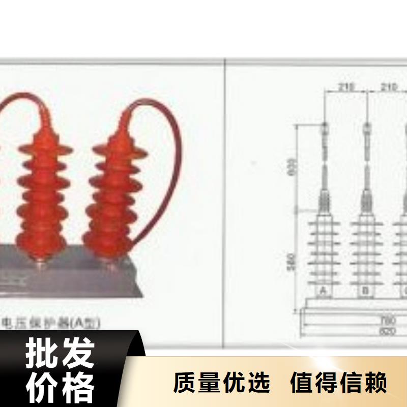 過電壓保護器絕緣子高品質誠信廠家