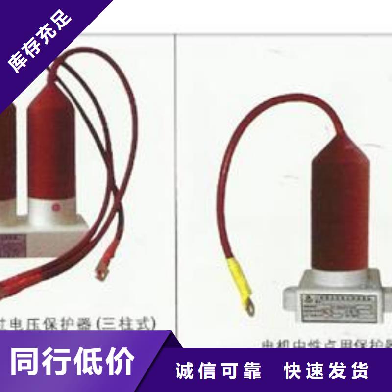 BSTG-B-6.3組合式避雷器