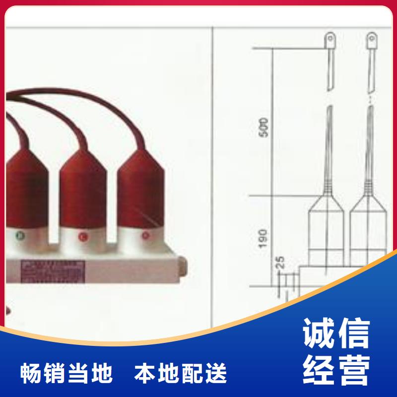 BSTG-B-35避雷器用保護(hù)器