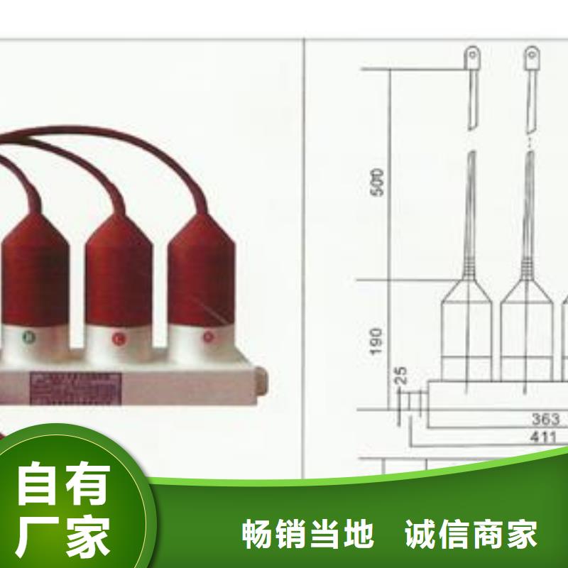 過電壓保護器氧化鋅避雷器價格有口皆碑