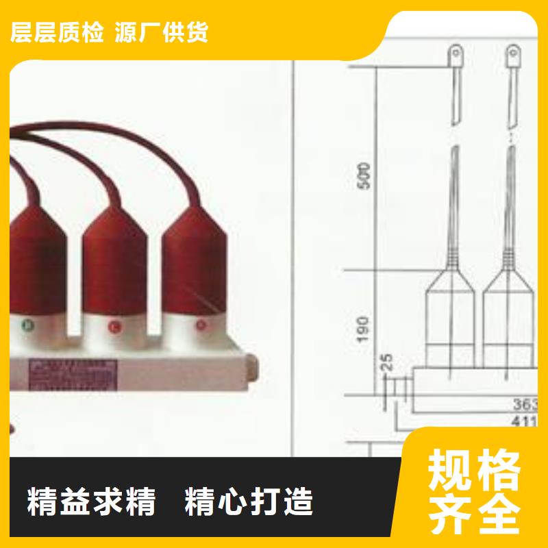 過電壓保護器_【限流熔斷器】每一處都是匠心制作